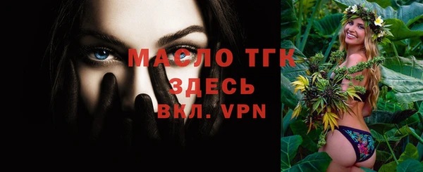сатива Вяземский