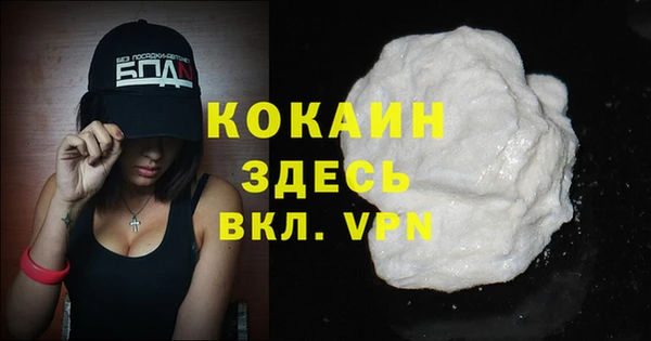сатива Вяземский