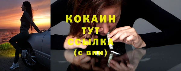крисы Вязники