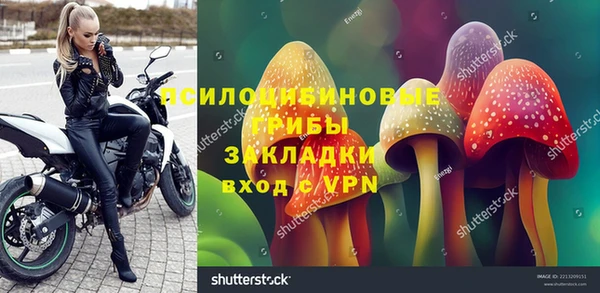 крисы Вязники