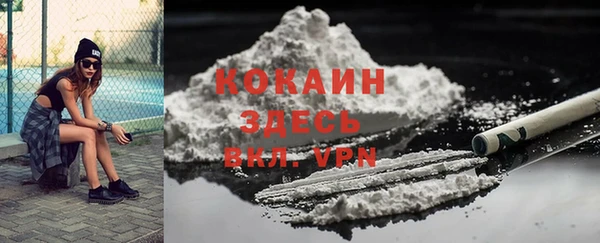 сатива Вяземский